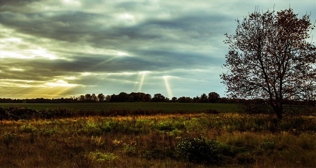 Sonnenstrahlen im Herbst