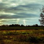 Sonnenstrahlen im Herbst