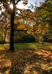 Sonnenstrahlen im Herbst