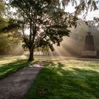 Sonnenstrahlen im Nebel