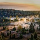 Sonnenstrahlen im Nebel des Totengrunds