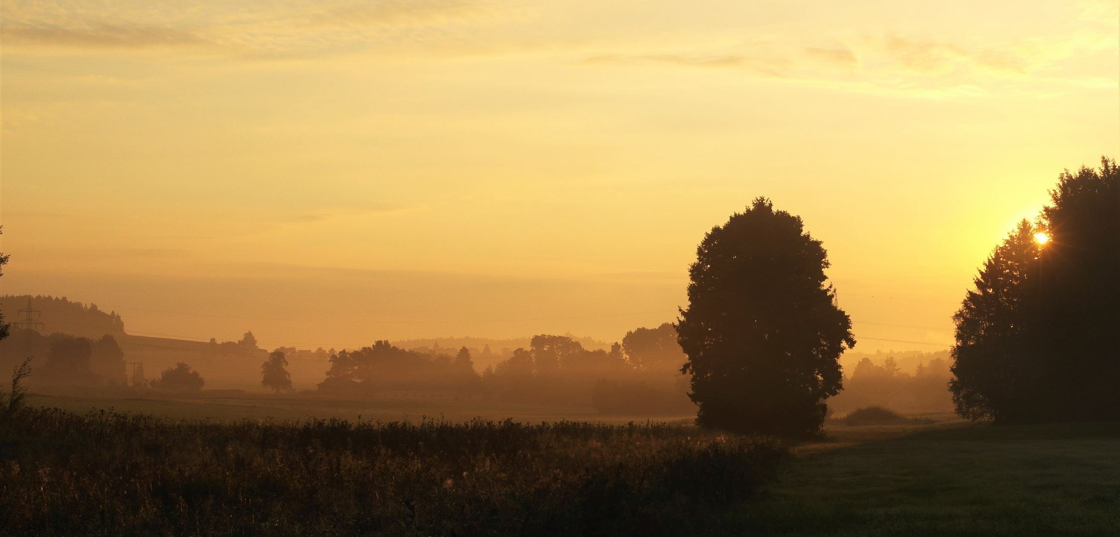 Sonnenstrahlen im Nebel