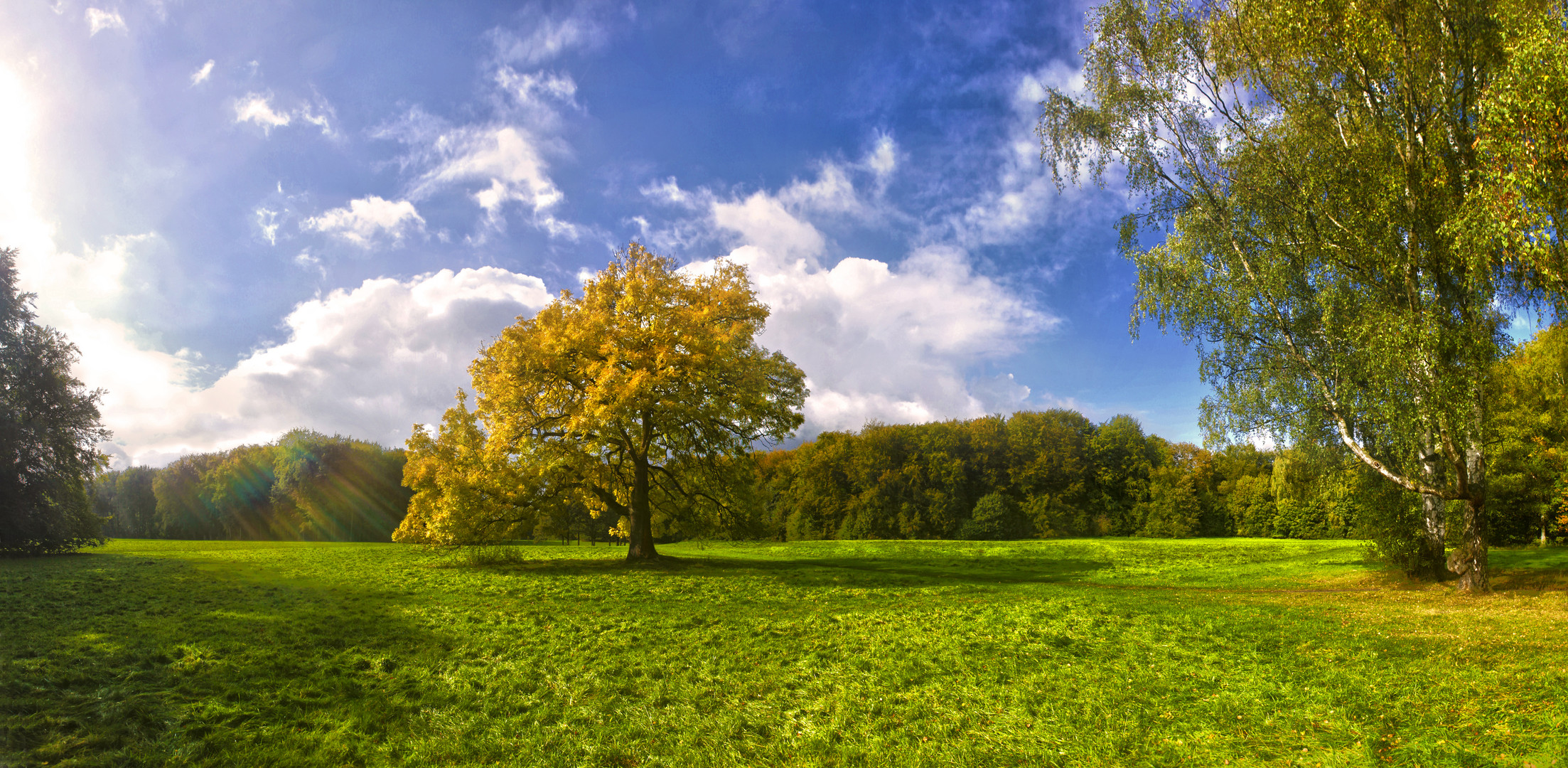 Sonnenstrahlen im Oktober