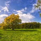 Sonnenstrahlen im Oktober