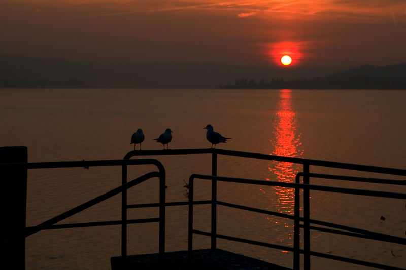 Sonnenstrahlen im Oktober