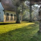 Sonnenstrahlen im Park