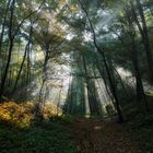 Sonnenstrahlen im Reitweiner Sporn var