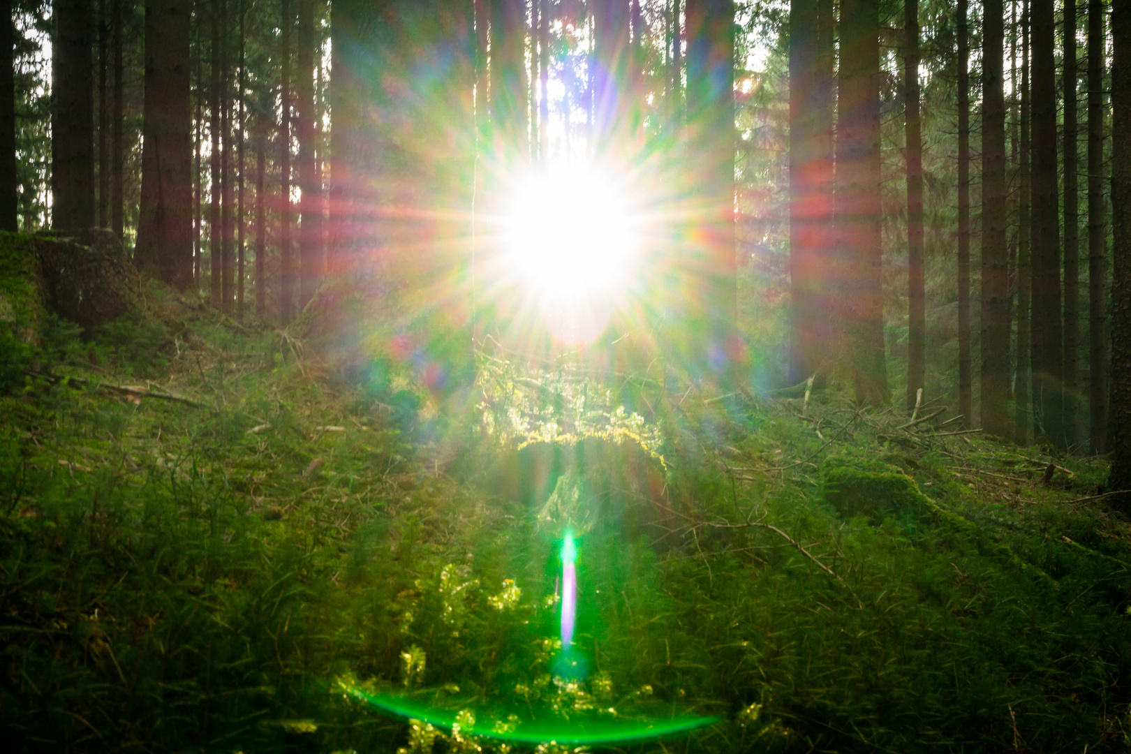 Sonnenstrahlen im Teutoburger Wald