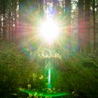 Sonnenstrahlen im Teutoburger Wald