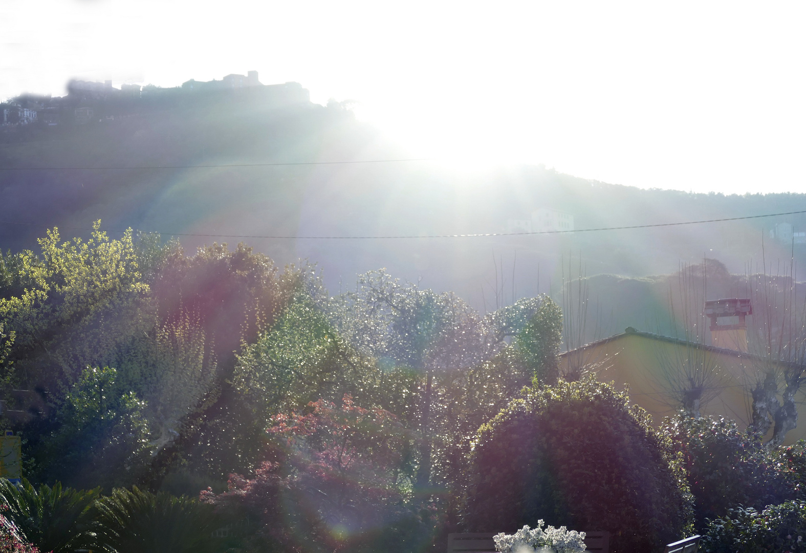 _Sonnenstrahlen im  Toskana Garten 