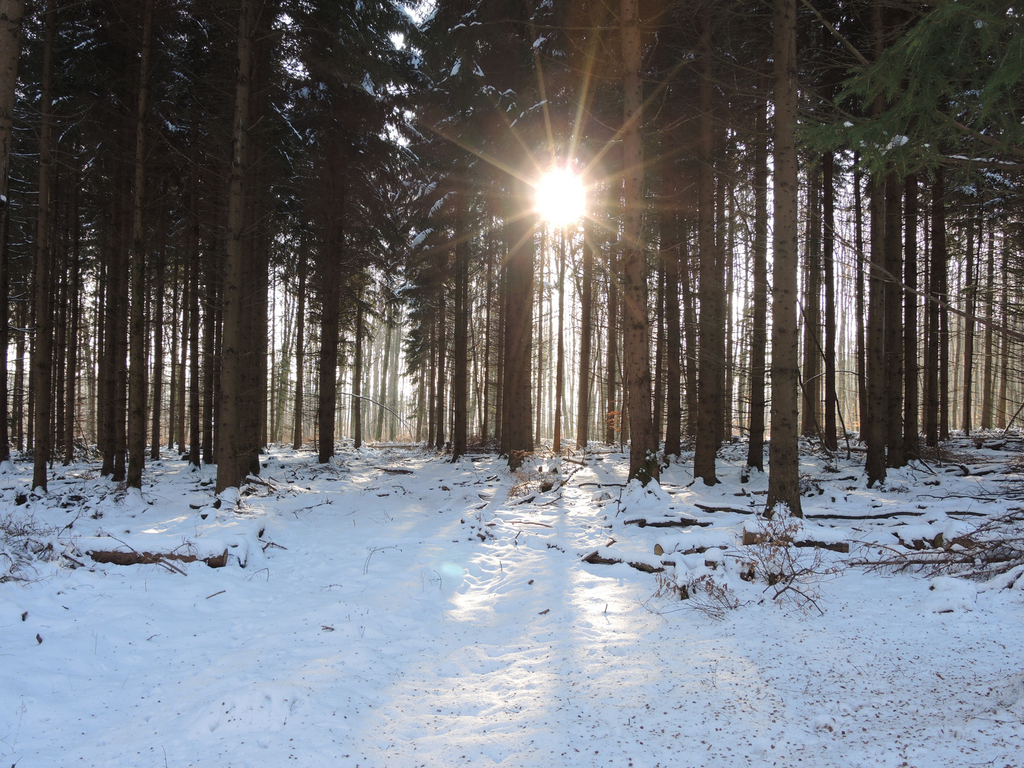 Sonnenstrahlen im Winter...