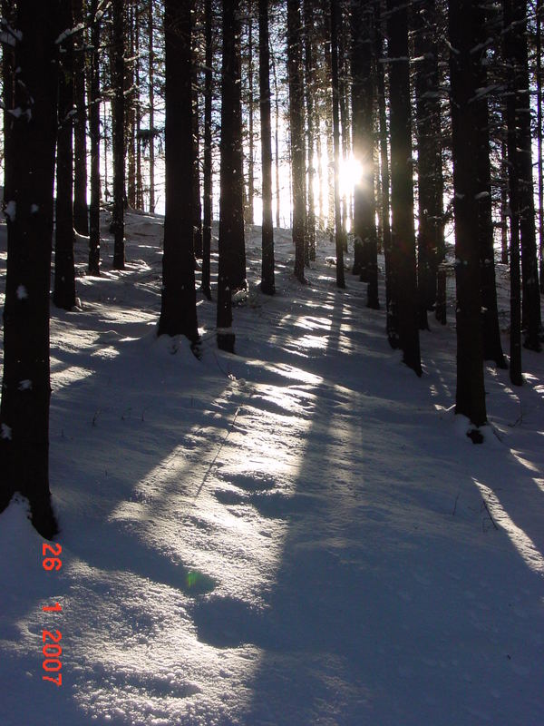 Sonnenstrahlen im Winter