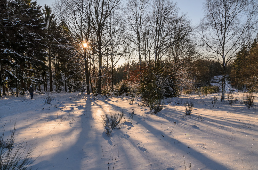 Sonnenstrahlen im Winter