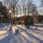 Sonnenstrahlen im Winter