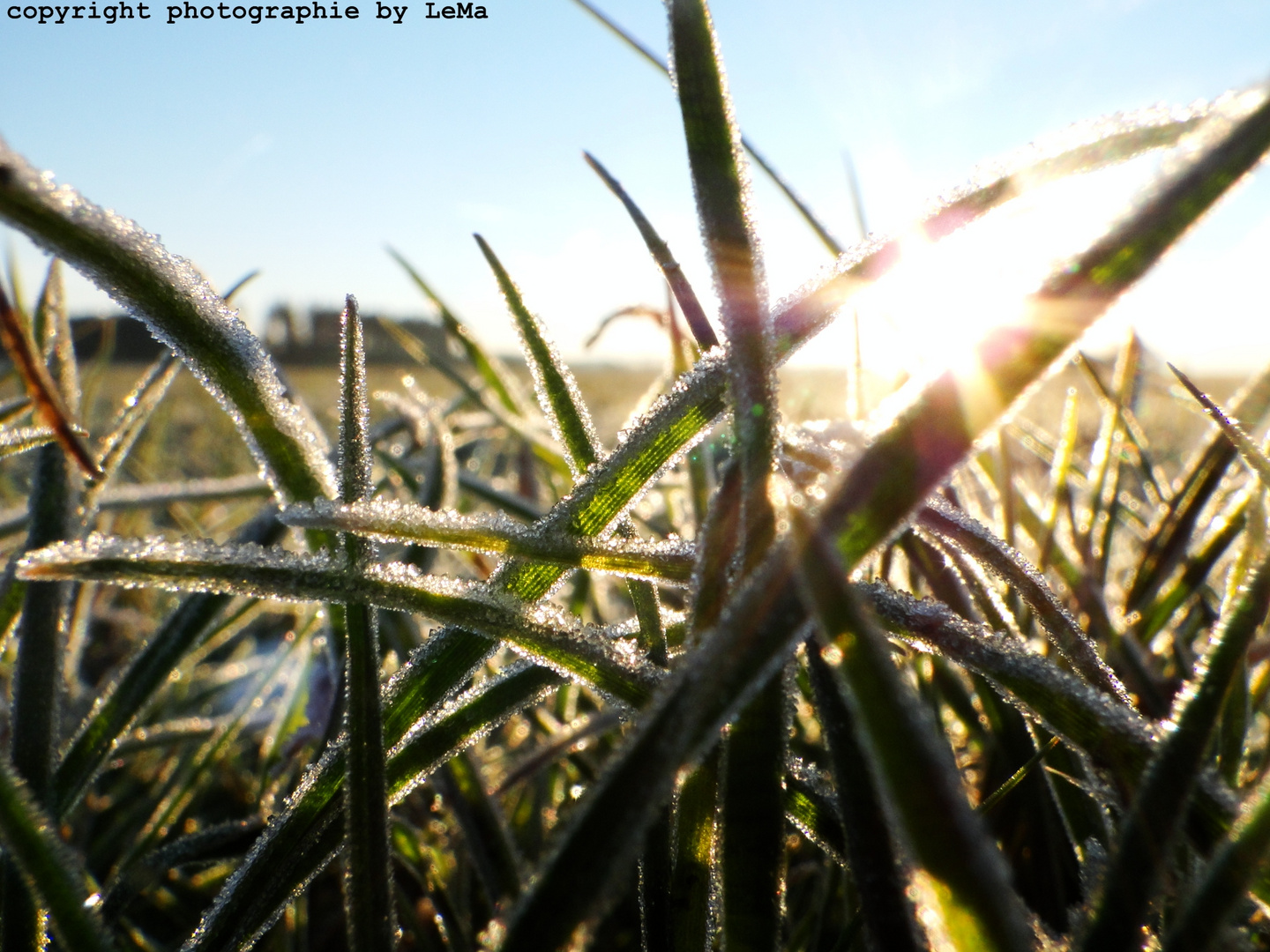 Sonnenstrahlen im Winter