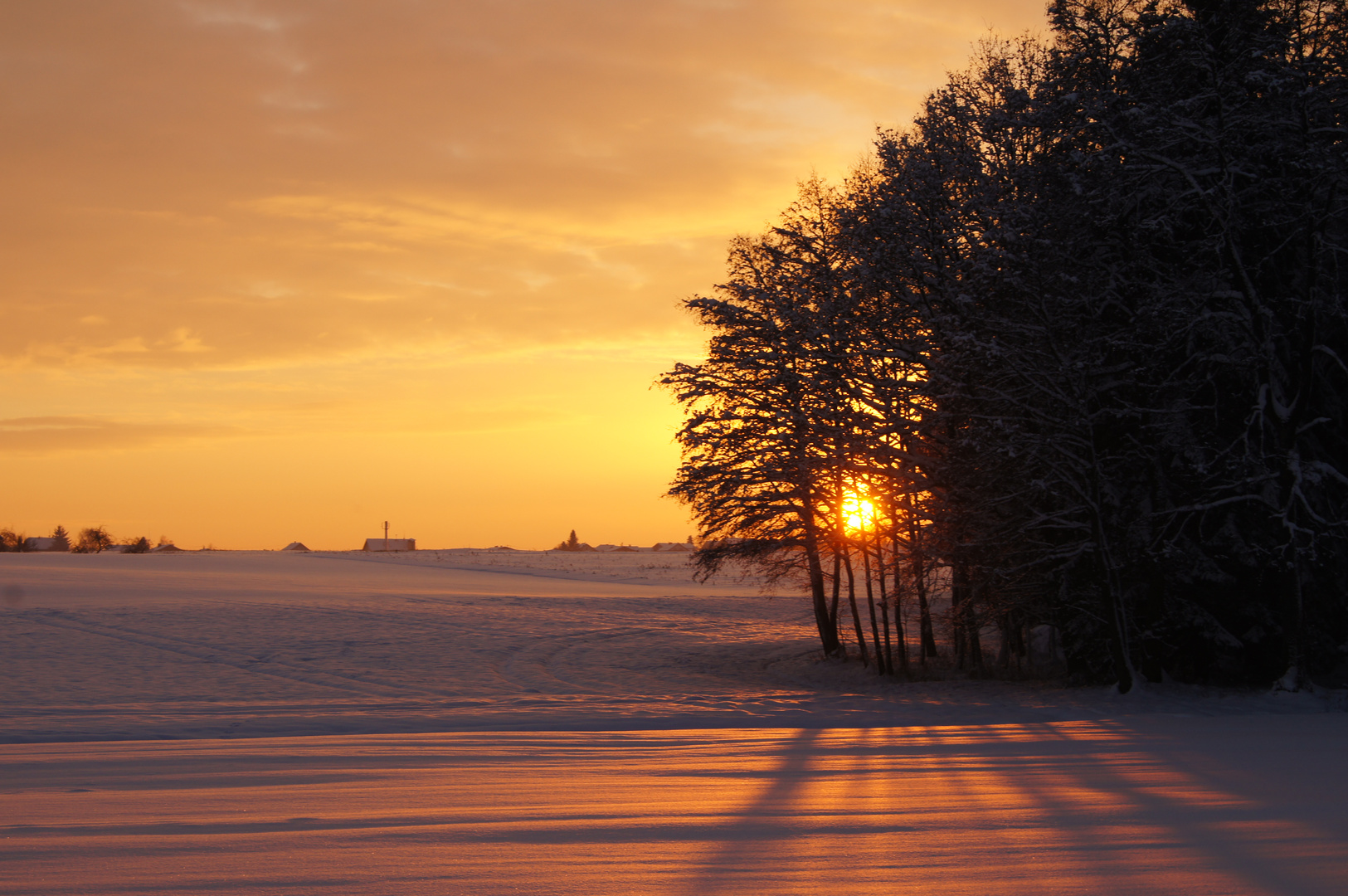 .. Sonnenstrahlen im Winter - so kostbar und rar