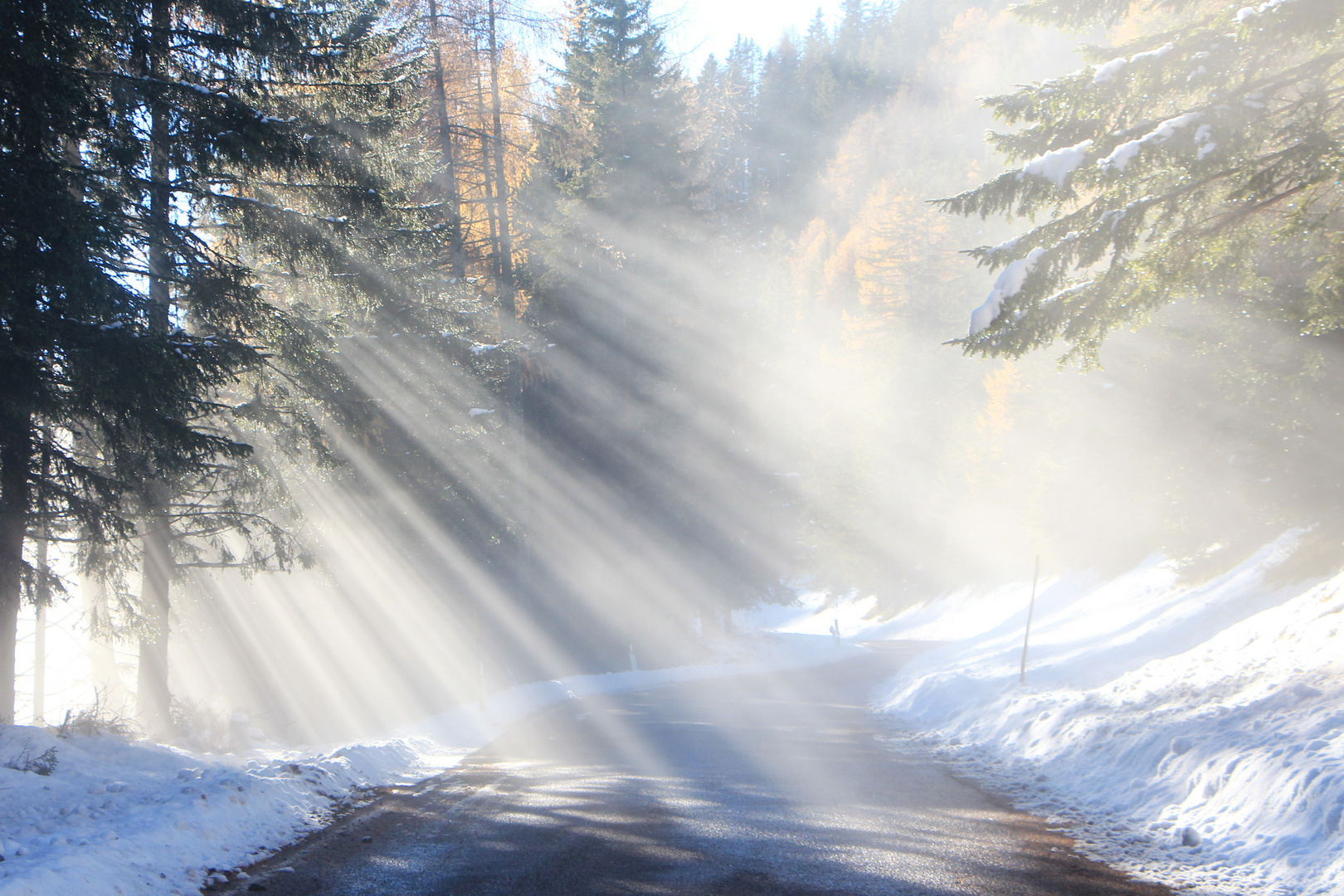 Sonnenstrahlen im Winterwald