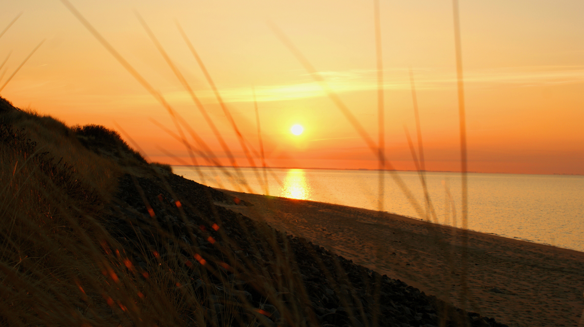 Sonnenstrahlen in Dünengras