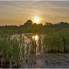 Sonnenstrahlen in ihrer Perfektion...(leider bald vorbei).