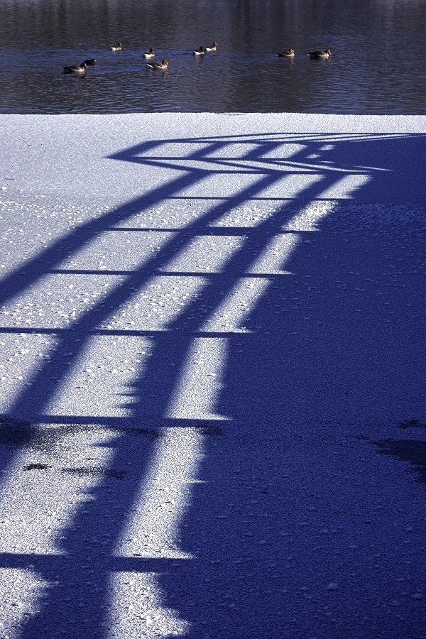 Sonnenstrahlen ließen das Eis des Winters schon schmelzen.