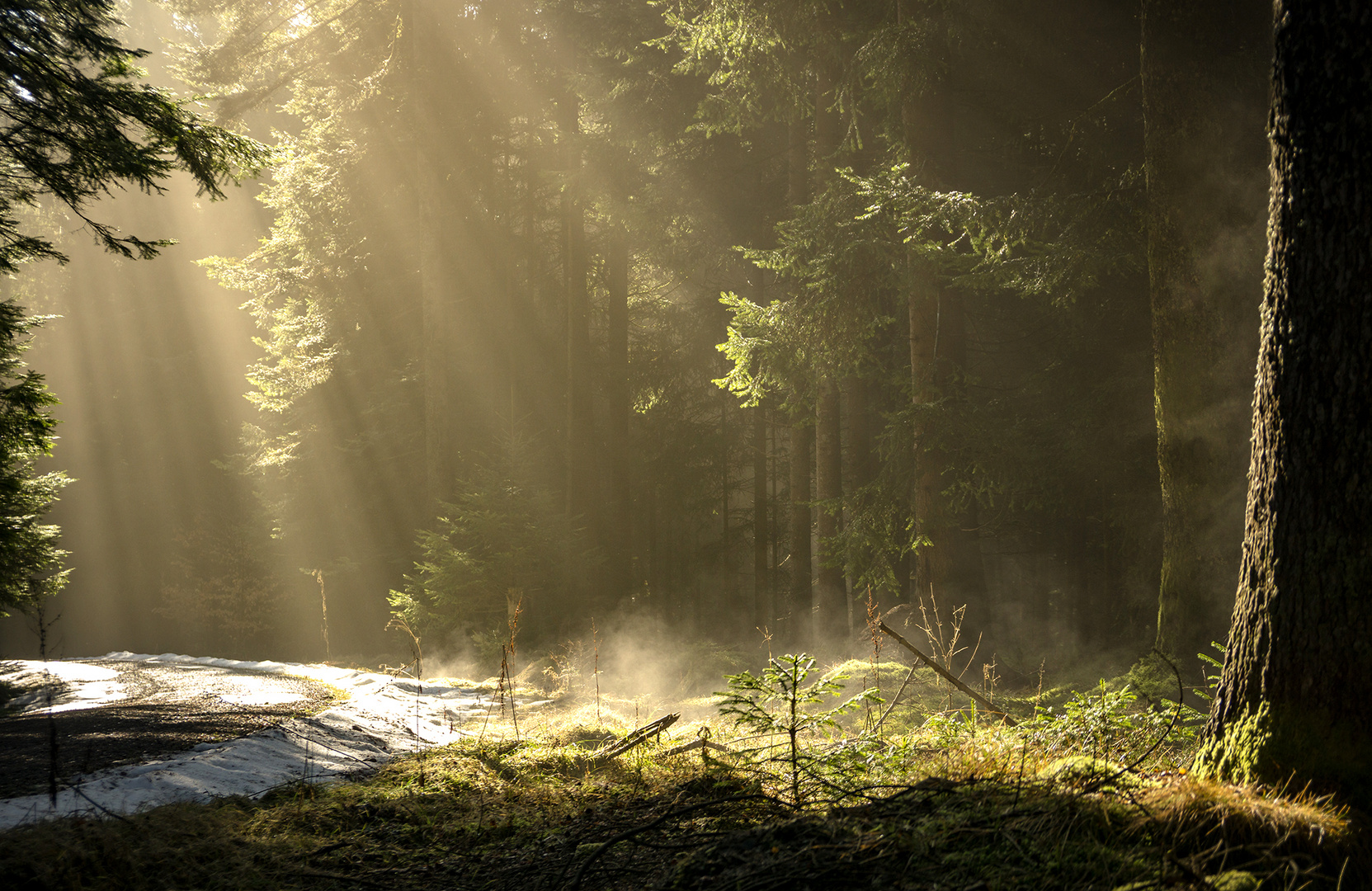 Sonnenstrahlen mit Dunst