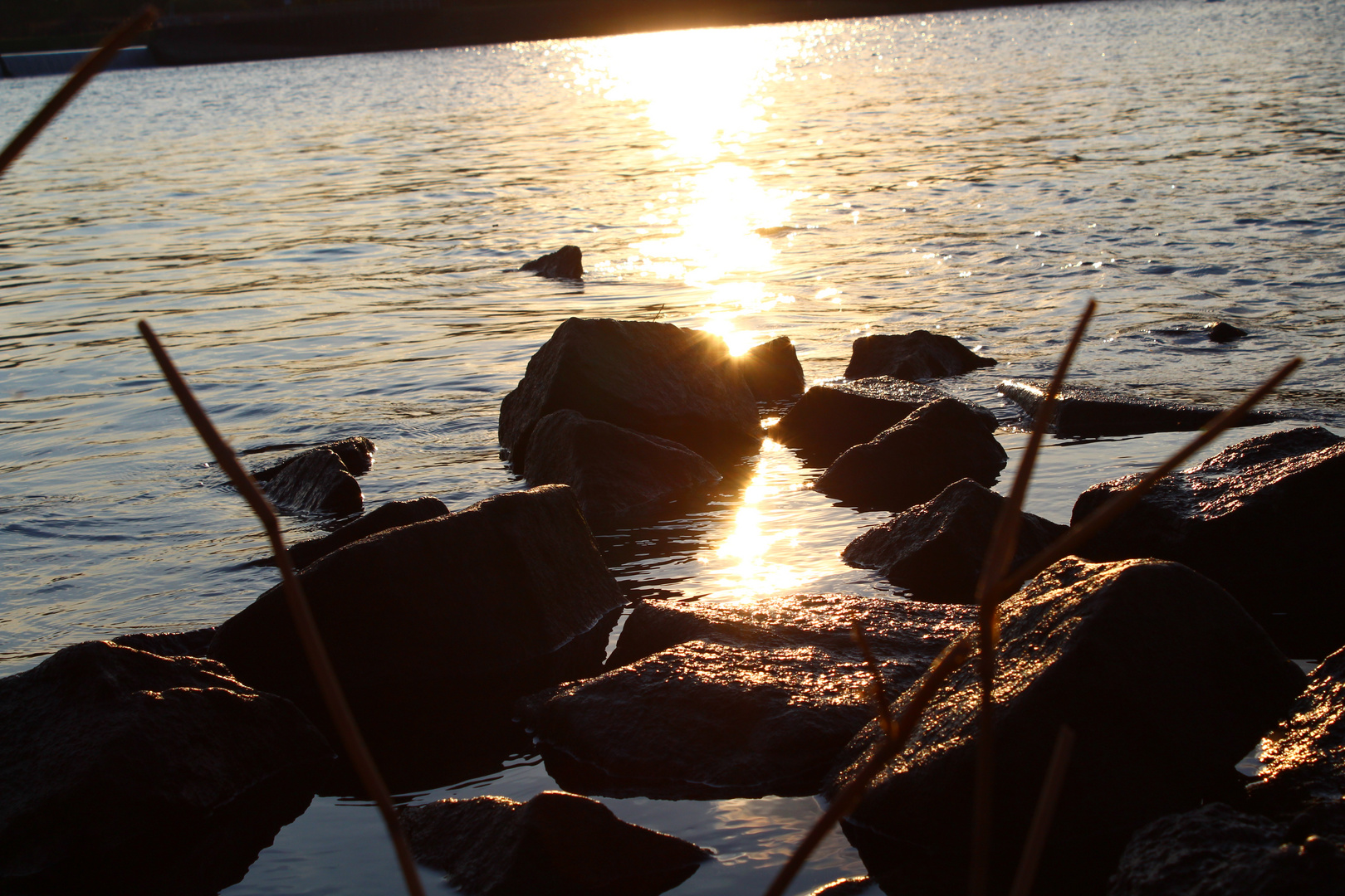 Sonnenstrahlen spiegeln im Wasser 