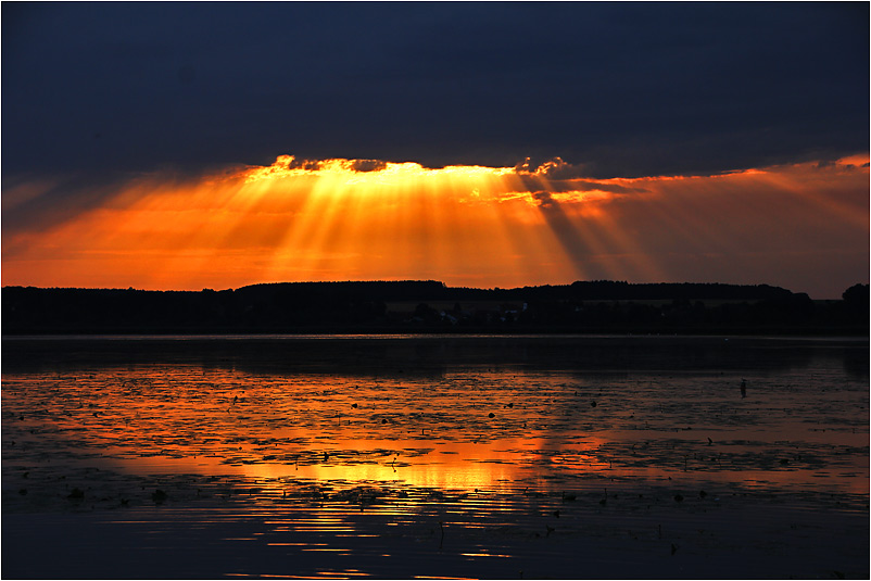 Sonnenstrahlen spiegeln sich am Federsee