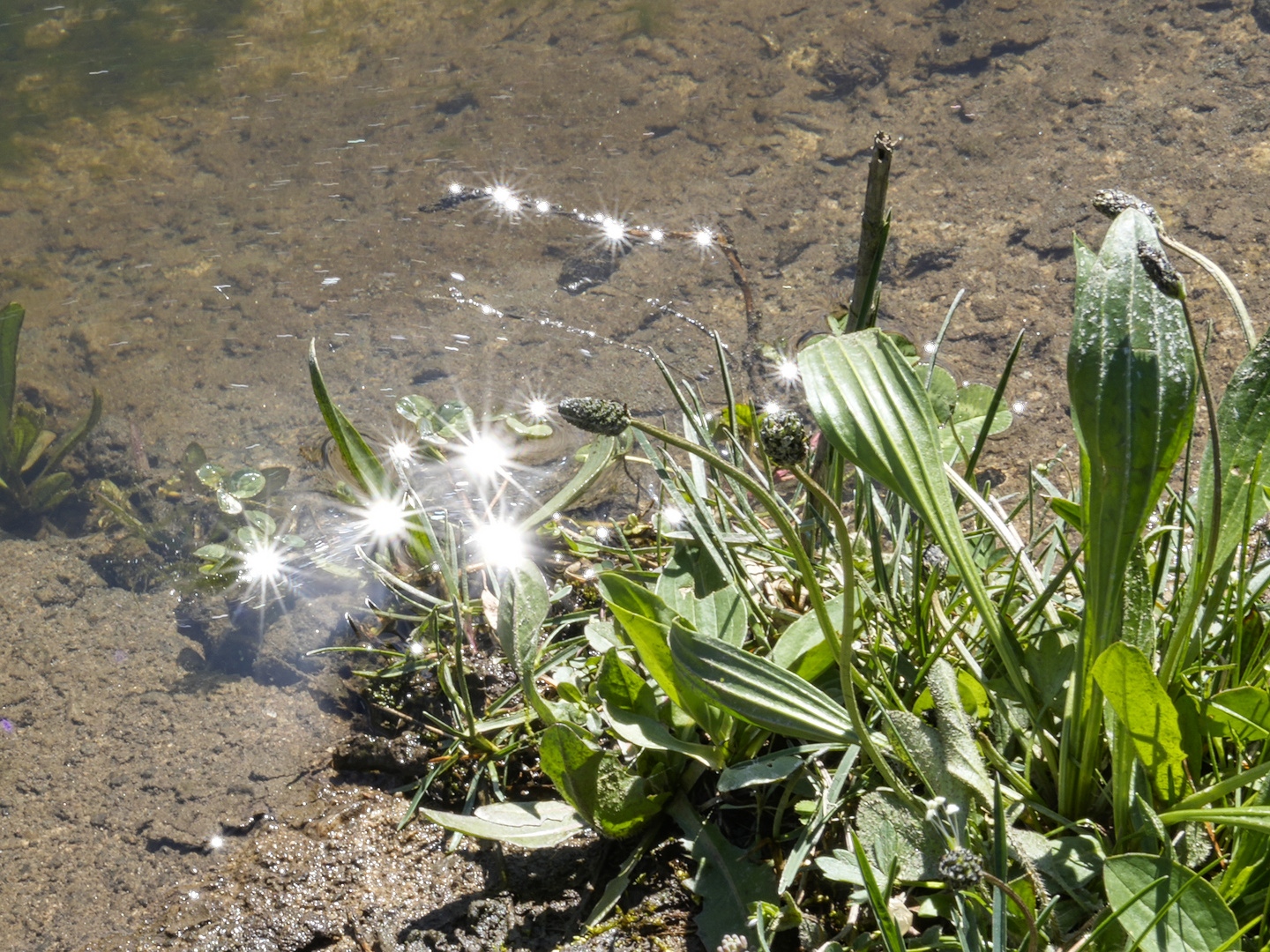 Sonnenstrahlen spiegeln sich im Wasser