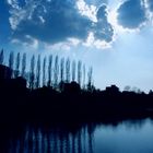 Sonnenstrahlen über dem Freiburger Seepark