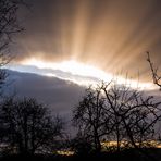 Sonnenstrahlen über den Streuobstwiesen