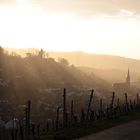 Sonnenstrahlen über Kappelrodeck