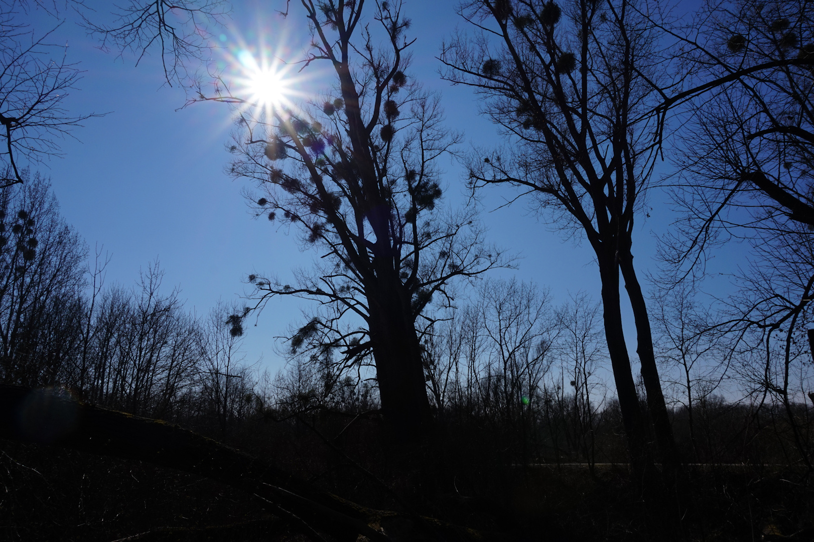 Sonnenstrahlen und blauer Himmel...