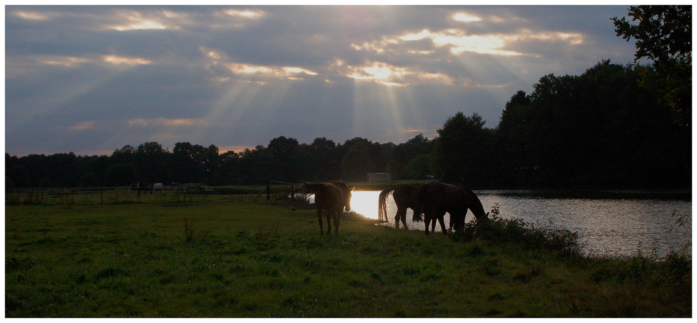 Sonnenstrahlen und Gewitterwolken...