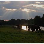 Sonnenstrahlen und Gewitterwolken...