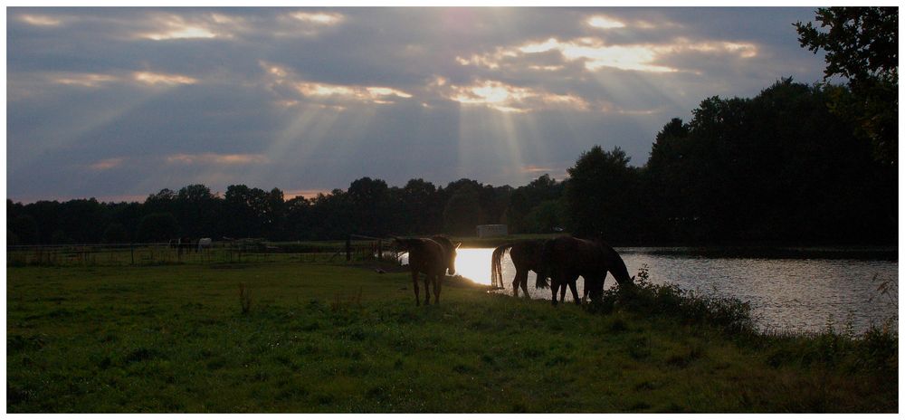 Sonnenstrahlen und Gewitterwolken...