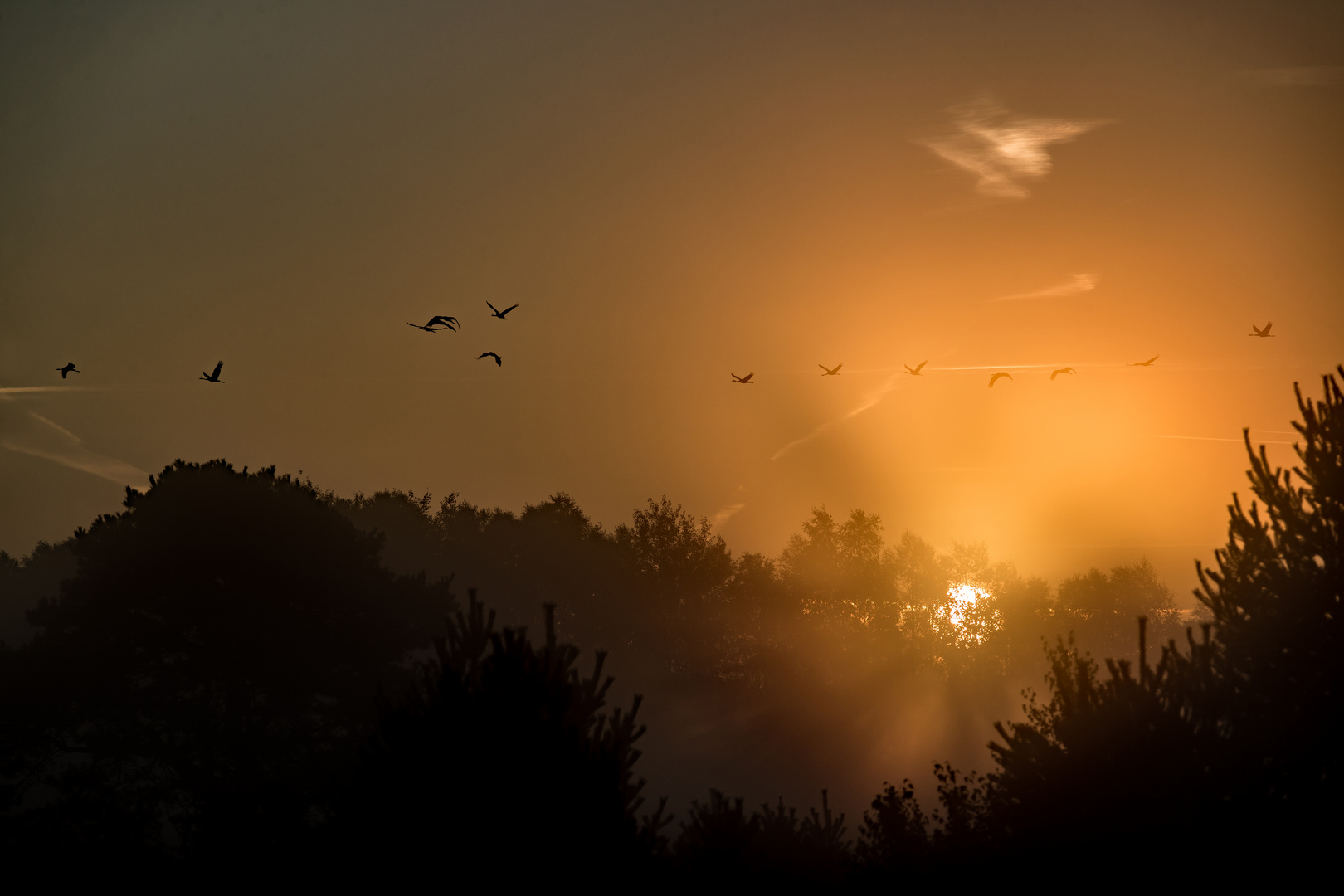 Sonnenstrahlen - und Vögel