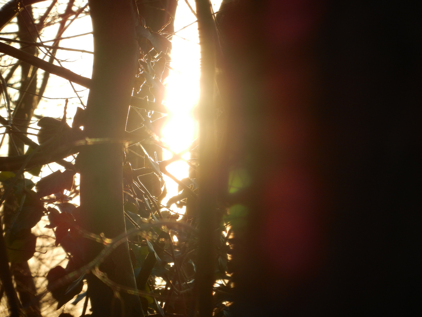 Sonnenstrahlen von Sonnenuntergang