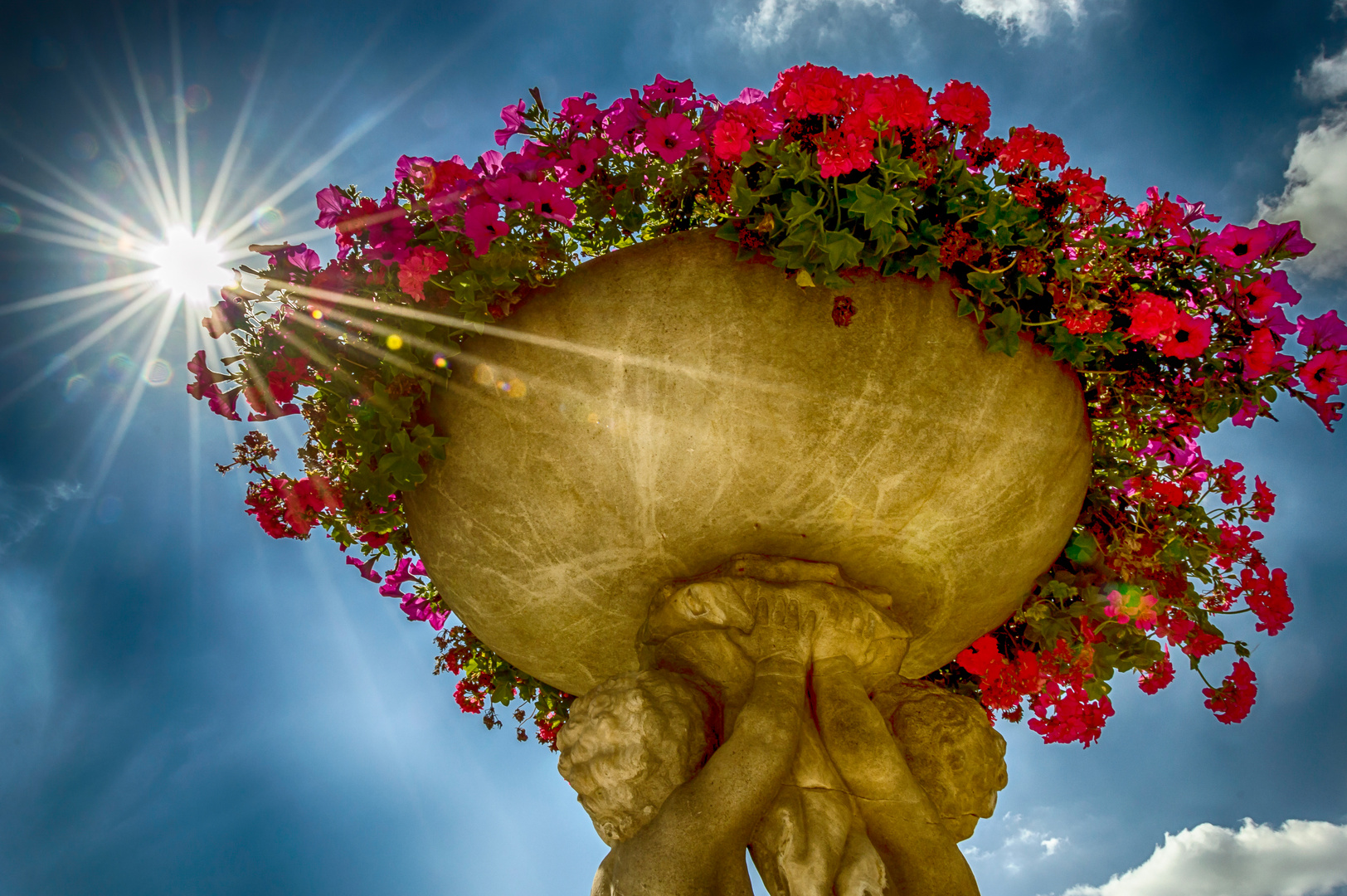 Sonnenstrahlen vor den Blumen im Pariser Park