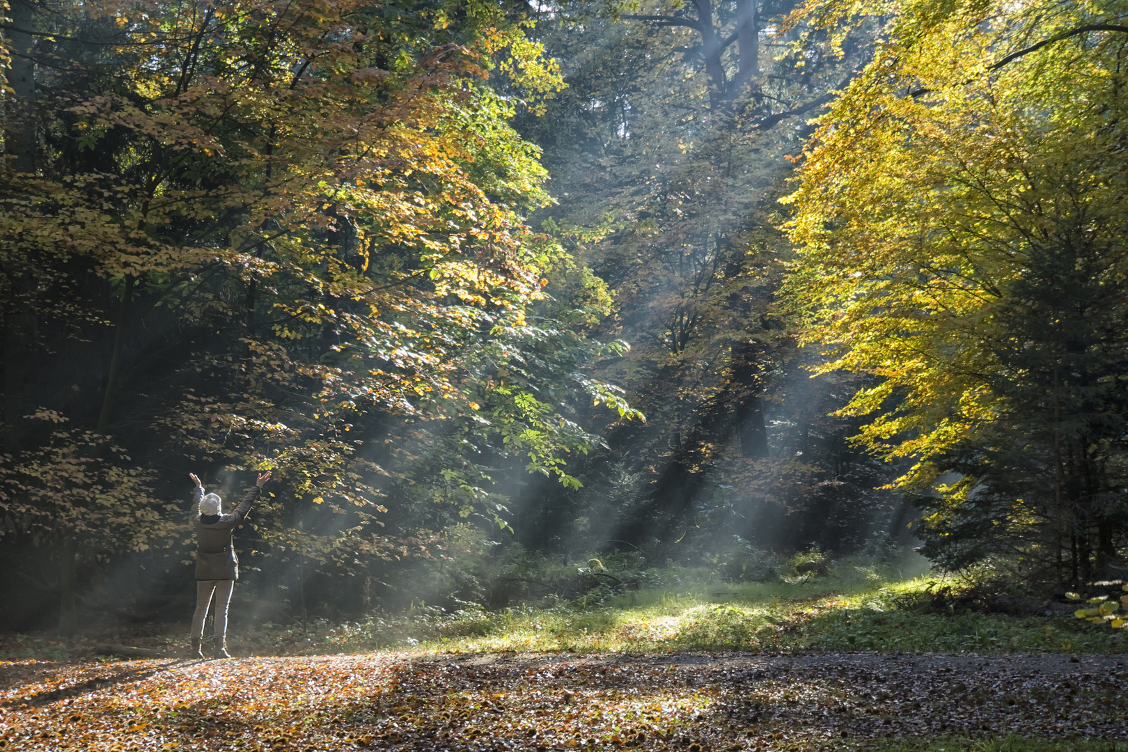 Sonnenstrahlenanbeterin