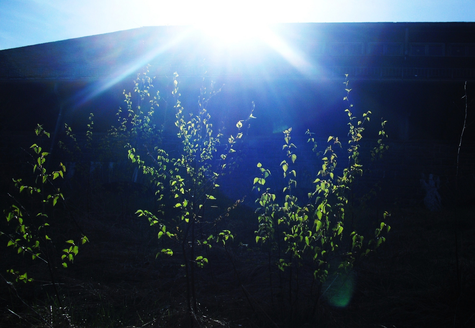 Sonnenstrahlensamstag