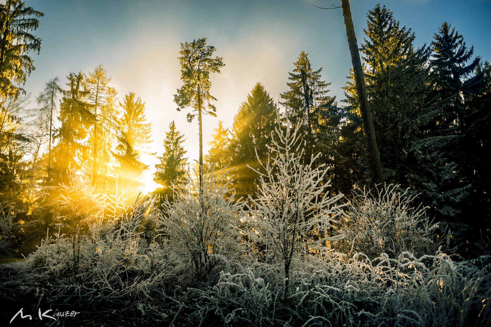 Sonnenstrahlenwald