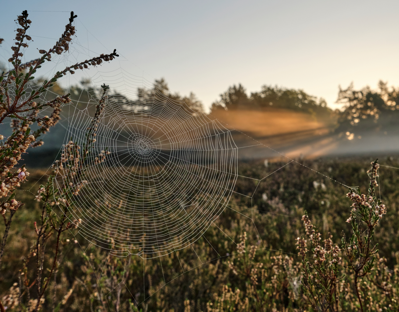 Sonnenstrahlfänger.