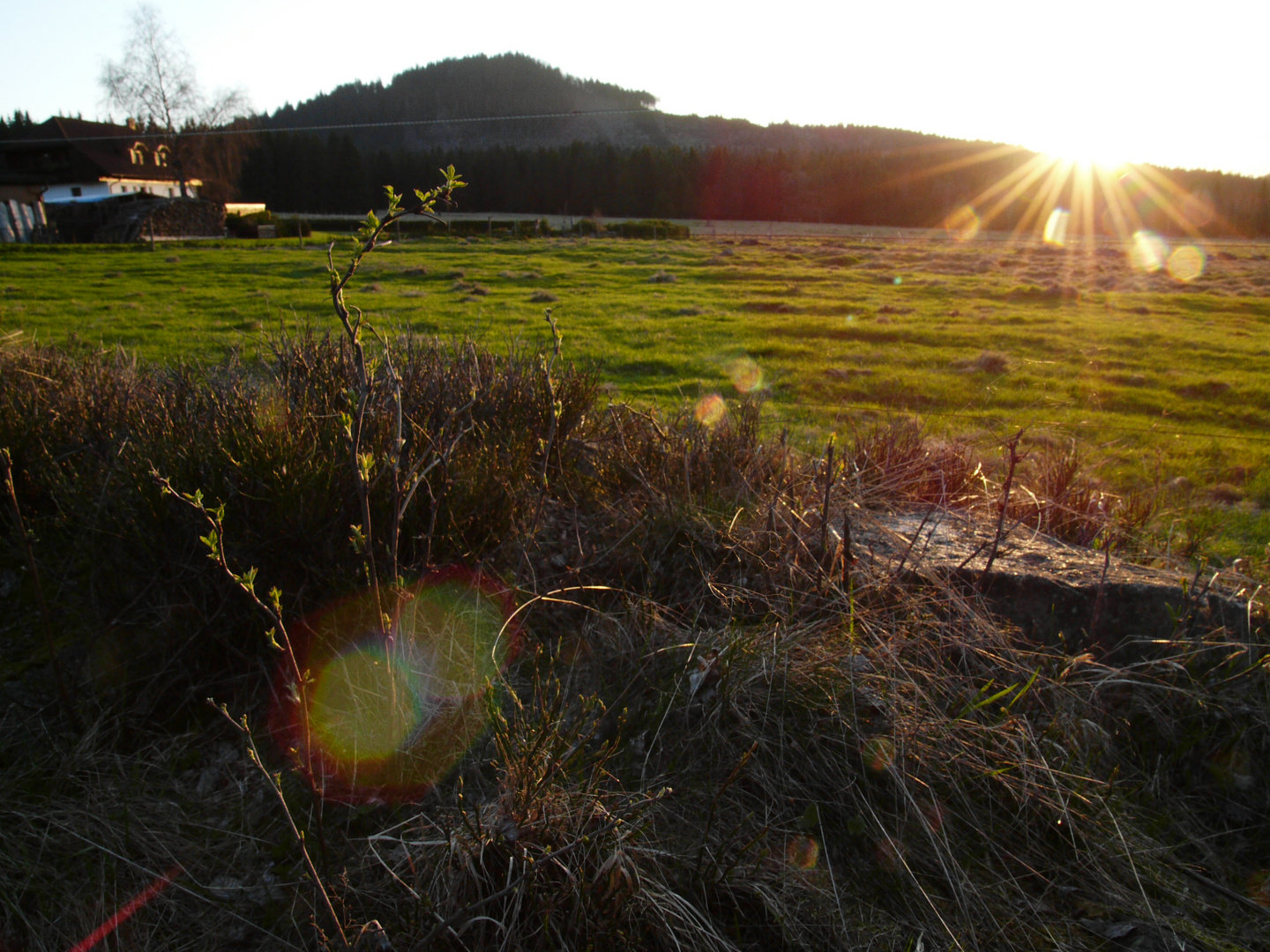 Sonnenstrahlung