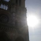 Sonnenstral der Notre Dame