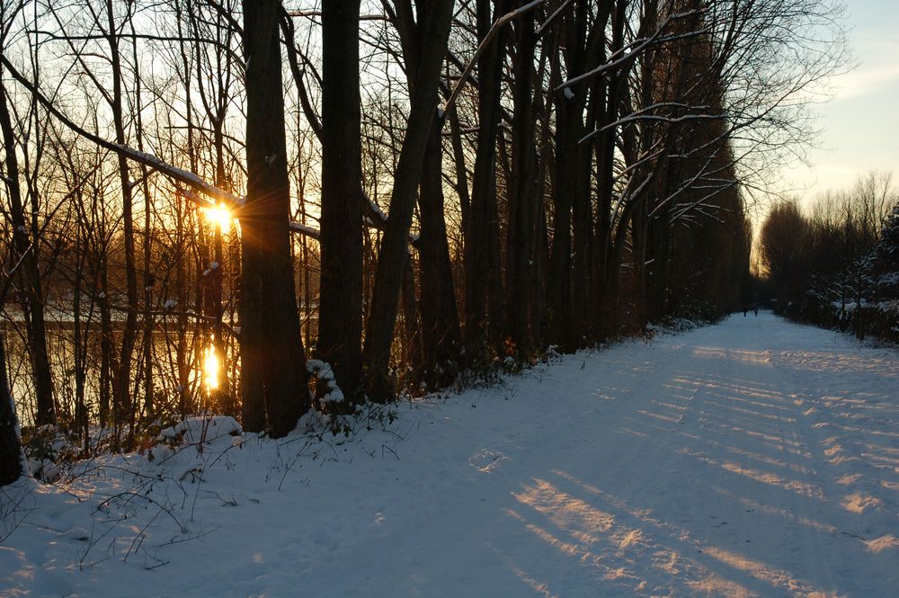 Sonnenstreifen von red head 