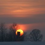 Sonnenstudio zu vermieten.