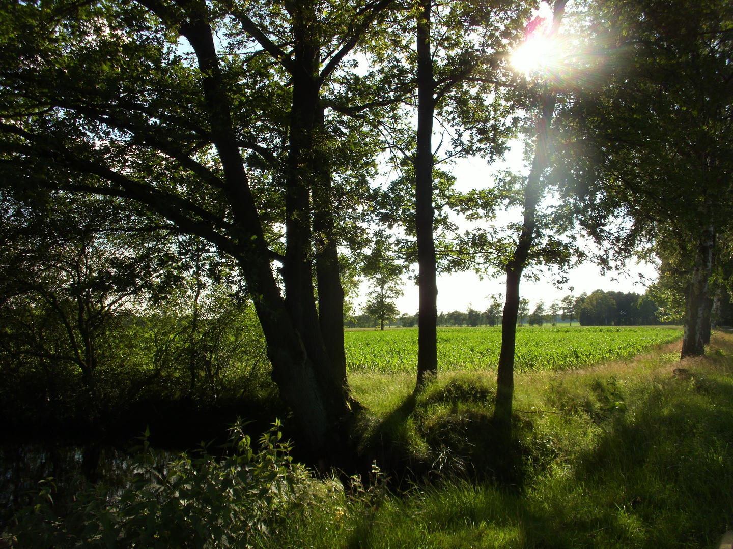 Sonnenstunden