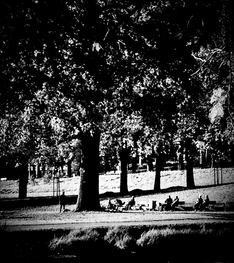 Sonnenstunden erhaschen   im Rosensteinpark