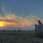 Sonnensturm bei Weizenfeld