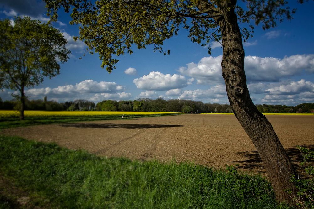 Sonnentag